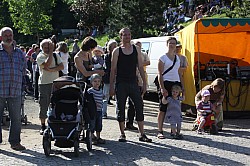 IMG_1231